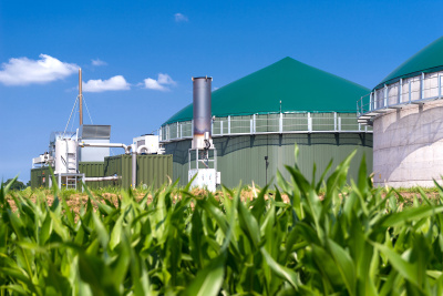 Landwirtschaftliche Biogasanlage vor blauem Himmel mit einem Maisfeld im Vordergrund.