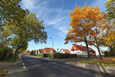 Der Kasseler Stadtteil Forstfeld mit Bäumen und Einfamilienhäusern.