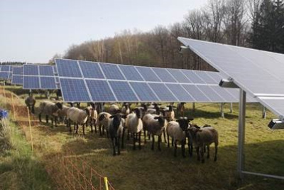 Solarpark Waldsolms-Weiperfelden