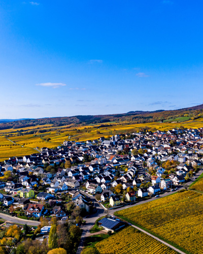 Blick von oben auf Oestrich-Winkel im Rheingau