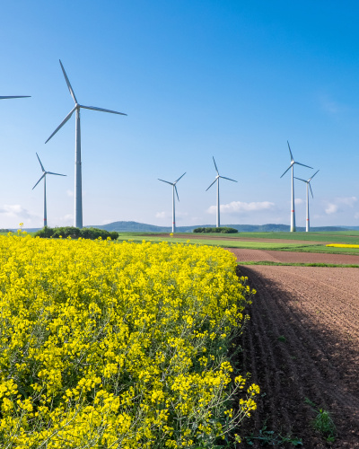 Agrarlandschaft um Amöneburg mit Windrädern im Hintergrund.
