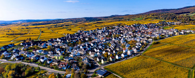 Blick von oben auf Oestrich-Winkel im Rheingau