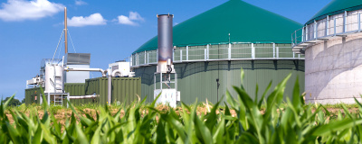 Landwirtschaftliche Biogasanlage vor blauem Himmel mit einem Maisfeld im Vordergrund.