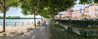 Zwei Radfahrer fahren entlang des Rheins am Biebricher Schloss vorbei
