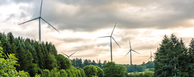 Mehrere Windräder stehen in einer Waldlandschaft verteilt zwischen Bäumen unter bewölktem Himmel.