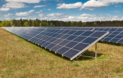 Photovoltaikanlage auf einer ungenutzten Freifläche mit Wald im Hintergrund.